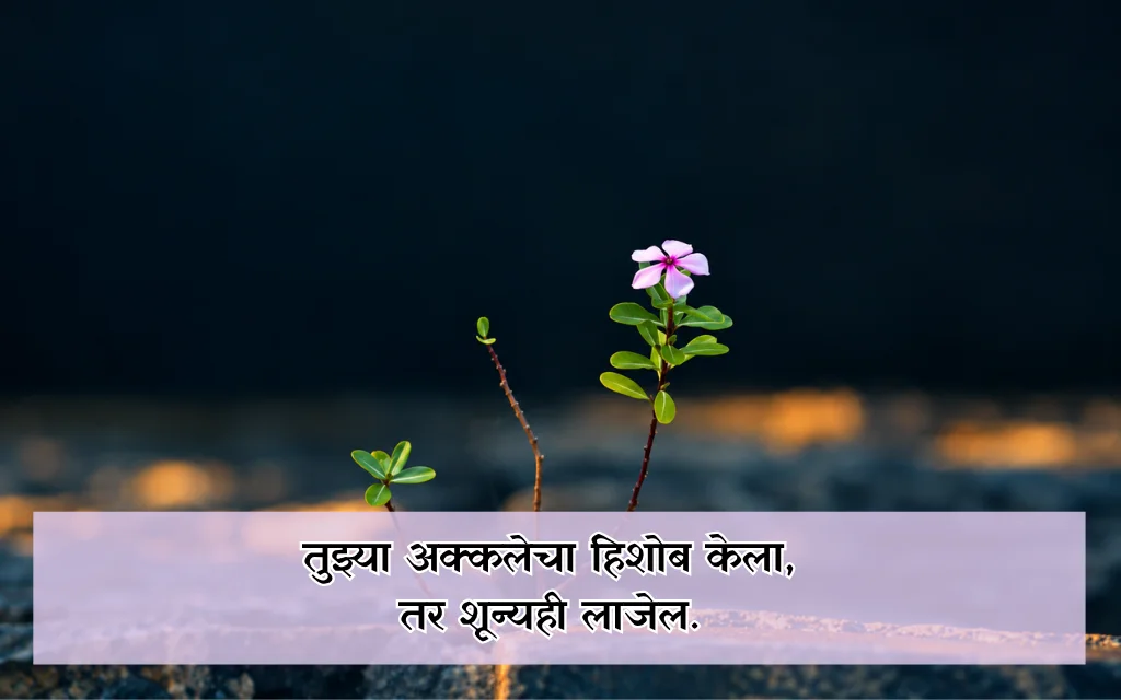 Insulting Taunting Quotes In Marathi