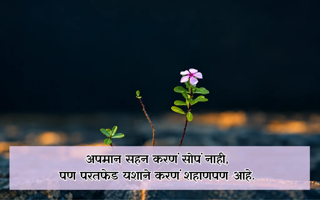Insult Quotes In Marathi
